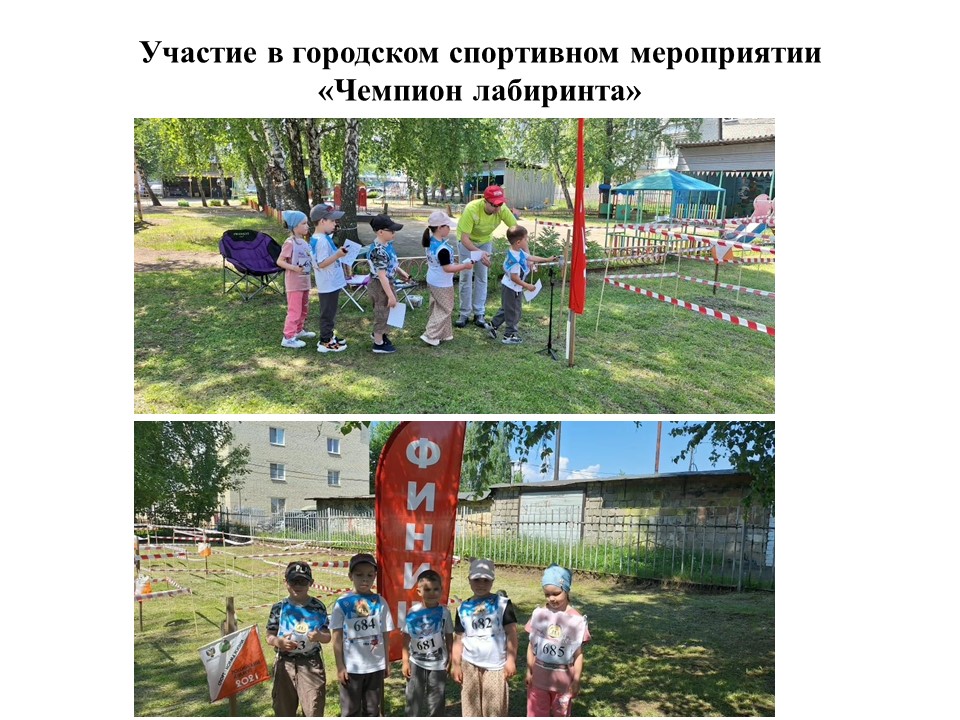 ЧЛ